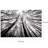 Bgraamiens Puzzle-Forest in Black and White-1000 Pieces Creative Black and White Nature Scenery Hard Puzzle Blue Board Jigsaw Puzzle Bgraamiens