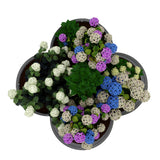 2 Pack Galvanized Raised Garden Bed – 4x4x1ft Raised Beds-Coated Metal Planter Box with Floral Edge, Easy Assembly Rust-Resistant Outdoor/Indoor Garden Box for Vegetables, Flowers, Herbs, White GarveeHome