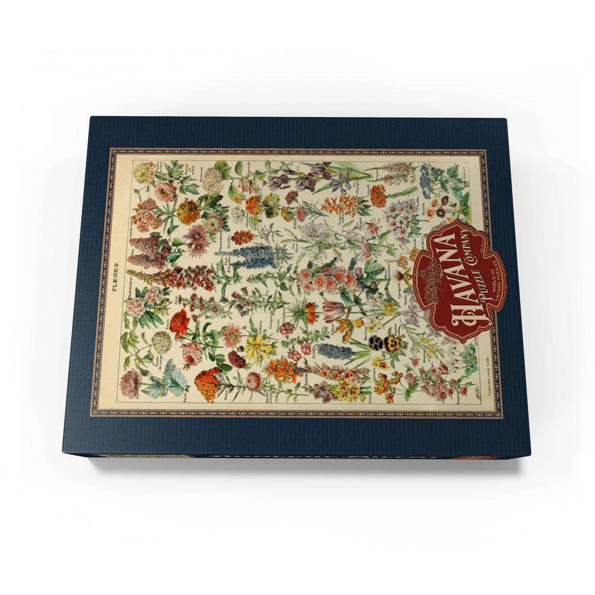 MyPuzzle Fleurs - Flowers for All, Vintage Art Poster, Adolphe Millot - Premium 1000 Piece Jigsaw Puzzle for Adults MyPuzzle.com