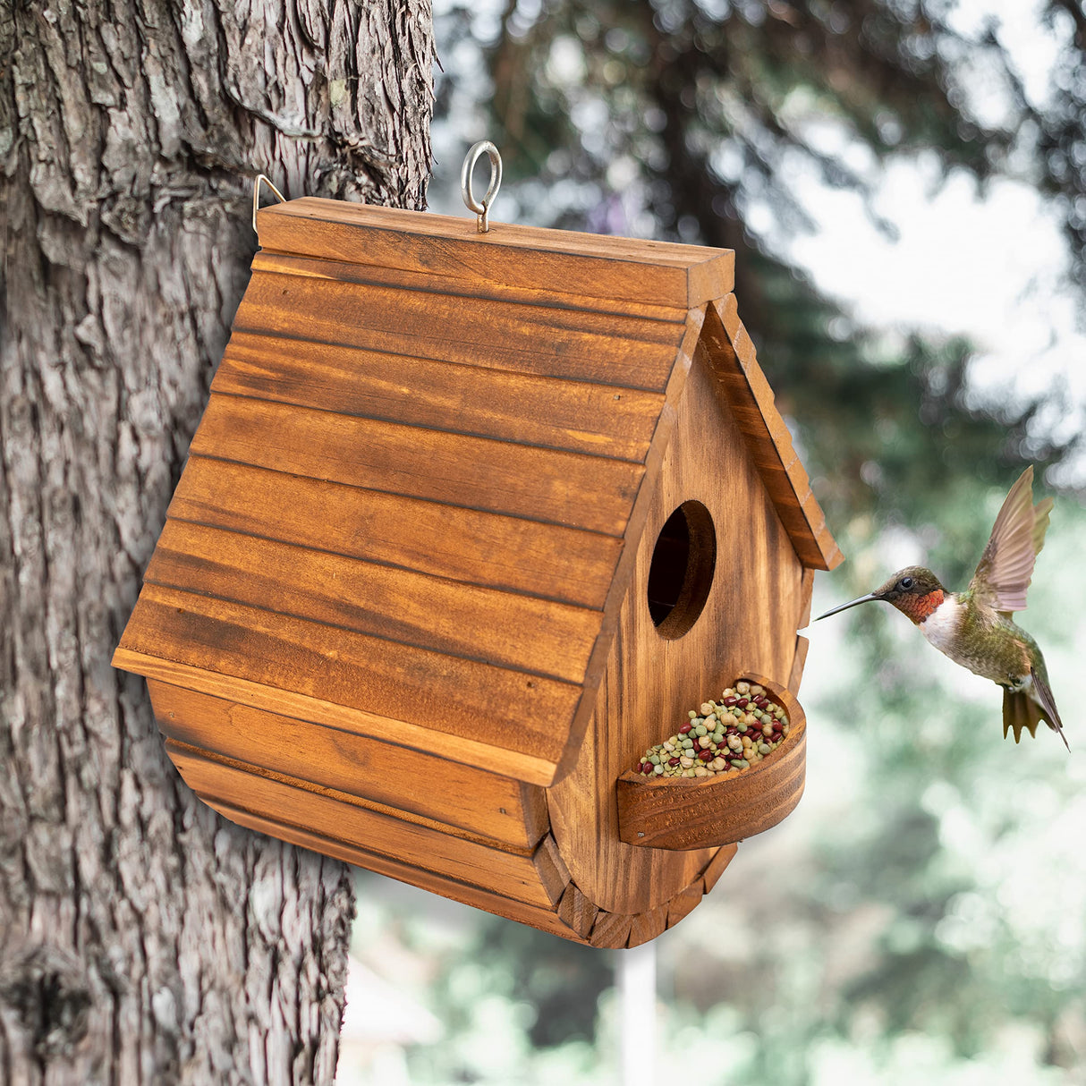 Set of 2 COLEBA Bird Houses for Outside,Outdoor Bird House Bird Families Bluebird Finch Cardinals Hanging Birdhouse for Garden COLEBA
