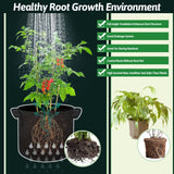 lucdnc 5 Pcs Grow Bags 5 Gallon Plant Grow Bags Multi-Purpose Nonwoven Fabric Pots with Durable Handles,Outdoor Garden Plant Pots for Vegetables Fruits Flowers Herb Succulent Bonsai Plants lucdnc