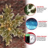 National Tree Company Pre-Lit Artificial Christmas Star Wreath, Green, Glittery Bristle Pine, White Lights, Decorated with Pine Cones, Frosted Branches, Christmas Collection, 32 Inches National Tree Company