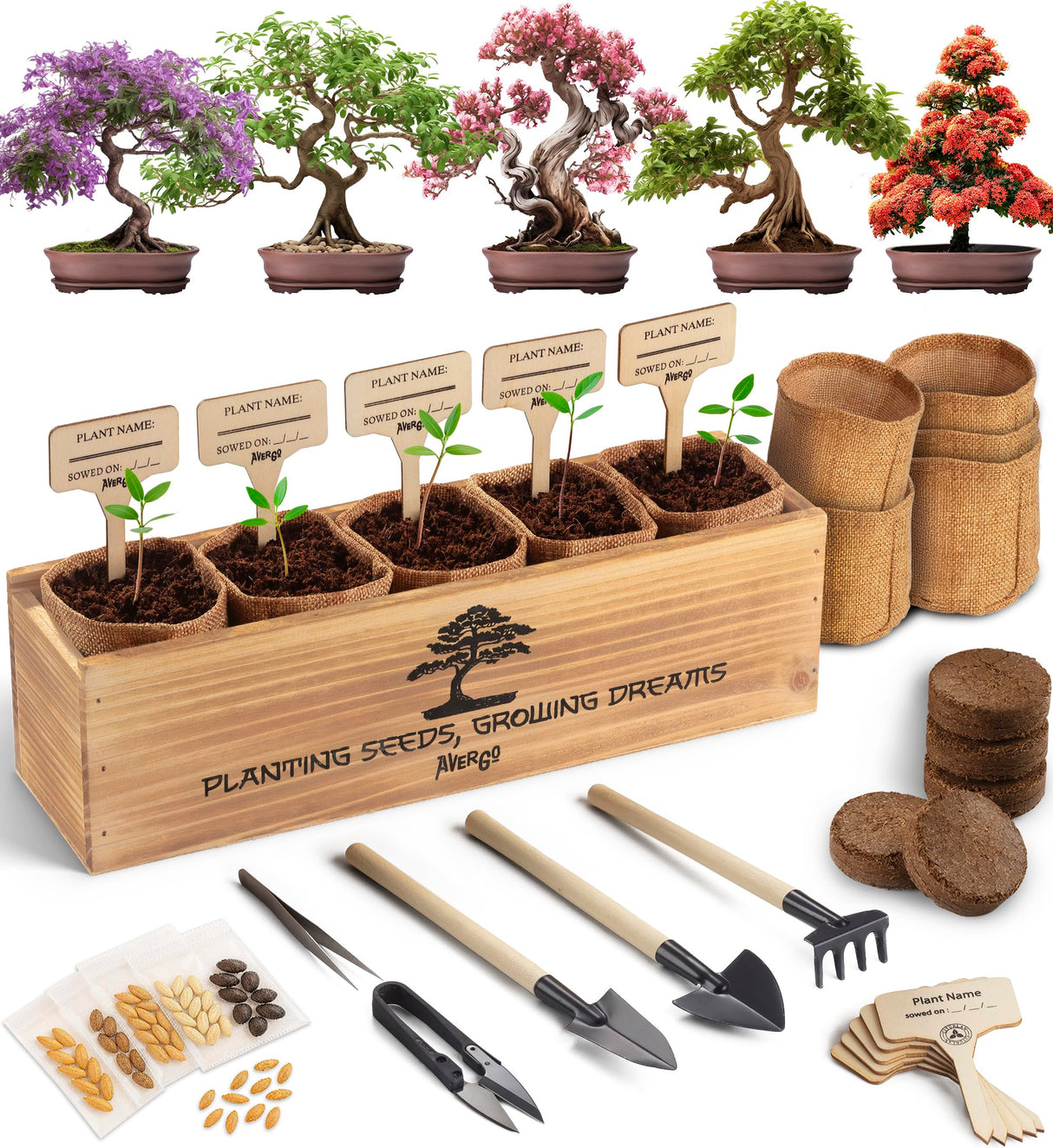 AVERGO Bonsai Tree Kit for Beginners – 5X Unique Japanese Bonzai Trees | Complete Indoor Starter Kit for Growing Bonsai Plants with Tools & Planters – Gardening Gifts for Women & Men AVERGO