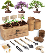 Avergo Bonsai Tree Kit – 3X Unique Japanese Bonzai Trees | Complete Indoor Starter Kit for Growing Bonsai Plants with Tools & Planters – Gardening Gifts for Women & Men AVERGO