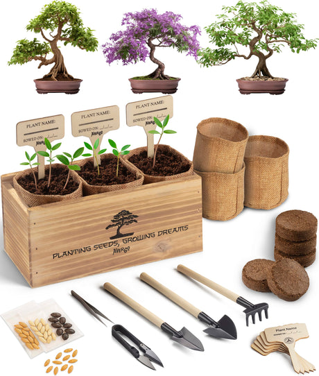 Avergo Bonsai Tree Kit – 3X Unique Japanese Bonzai Trees | Complete Indoor Starter Kit for Growing Bonsai Plants with Tools & Planters – Gardening Gifts for Women & Men AVERGO