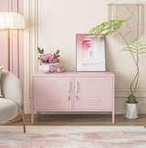 Aiasuit TV Stand Multifunctional Metal Storage Cabinet 2-Tier Shelf Thick Plate Material Support Sturdy Metal Sideboard Adjustable Storage Cabinet Pink Size: 23.62”H x 39.37”W x 14.96”D Aiasuit