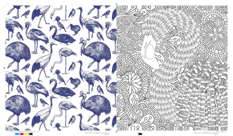 Animal Kingdom Coloring Book: Color Nature's Most Remarkable Creatures - Over 100 Pages to Color! (Chartwell Coloring Books) WoodArtSupply