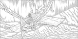 Avatar Coloring Book DK