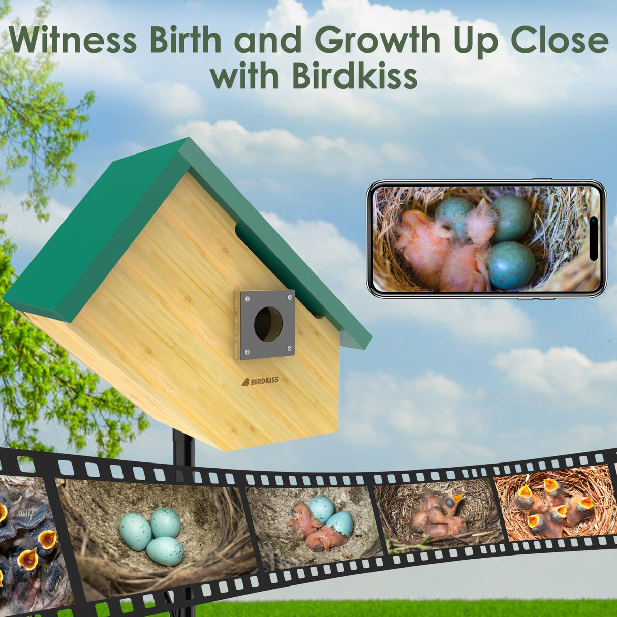 Birdkiss Smart Bird Houses for Outside Solar Powered, 1080P HD Live View Birdhouse with Camera, Perfect Viewing Bird Nesting and Hatching, Ideal Outdoors Bird House for Blue Bird and Cardinal (Green) Birdkiss