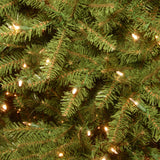 National Tree Company Pre-Lit Artificial Full Christmas Tree, Green, Dunhill Fir, Dual Color LED Lights, Includes Stand, 9 Feet National Tree Company