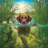 Ceaco - Mark Fredrickson - Chocolate Lab - 500 Piece Jigsaw Puzzle Ceaco
