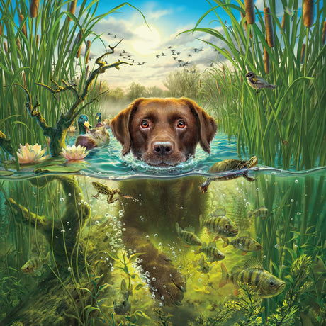 Ceaco - Mark Fredrickson - Chocolate Lab - 500 Piece Jigsaw Puzzle Ceaco