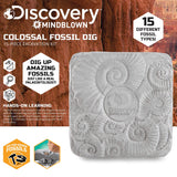Discovery™ Colossal Fossil Dig Set, 15-Piece Archeology Excavation Kit, Uncover Real Shark Teeth & More, Every Fossil Set is Unique, STEM Toys for Boys and Girls Discovery Kids