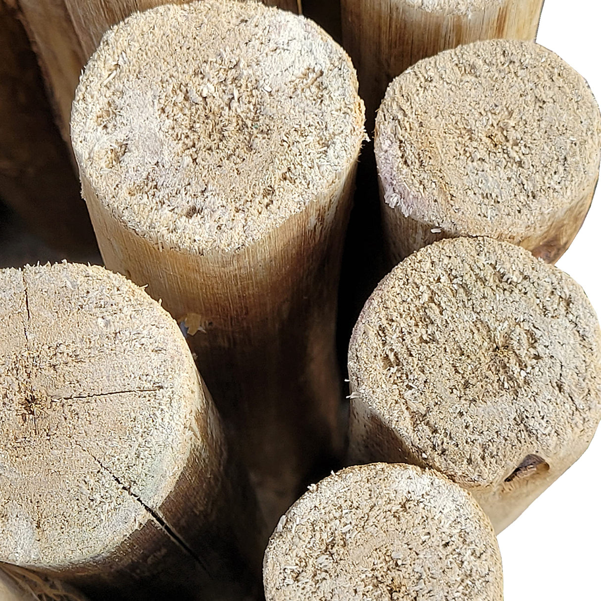 Backyard X-Scapes Natural Eucalyptus Wood Solid Log for Garden Border Edging Landscaping Borders Lawn 72 in L x 12 in H x 1.25 in D Backyard X-Scapes