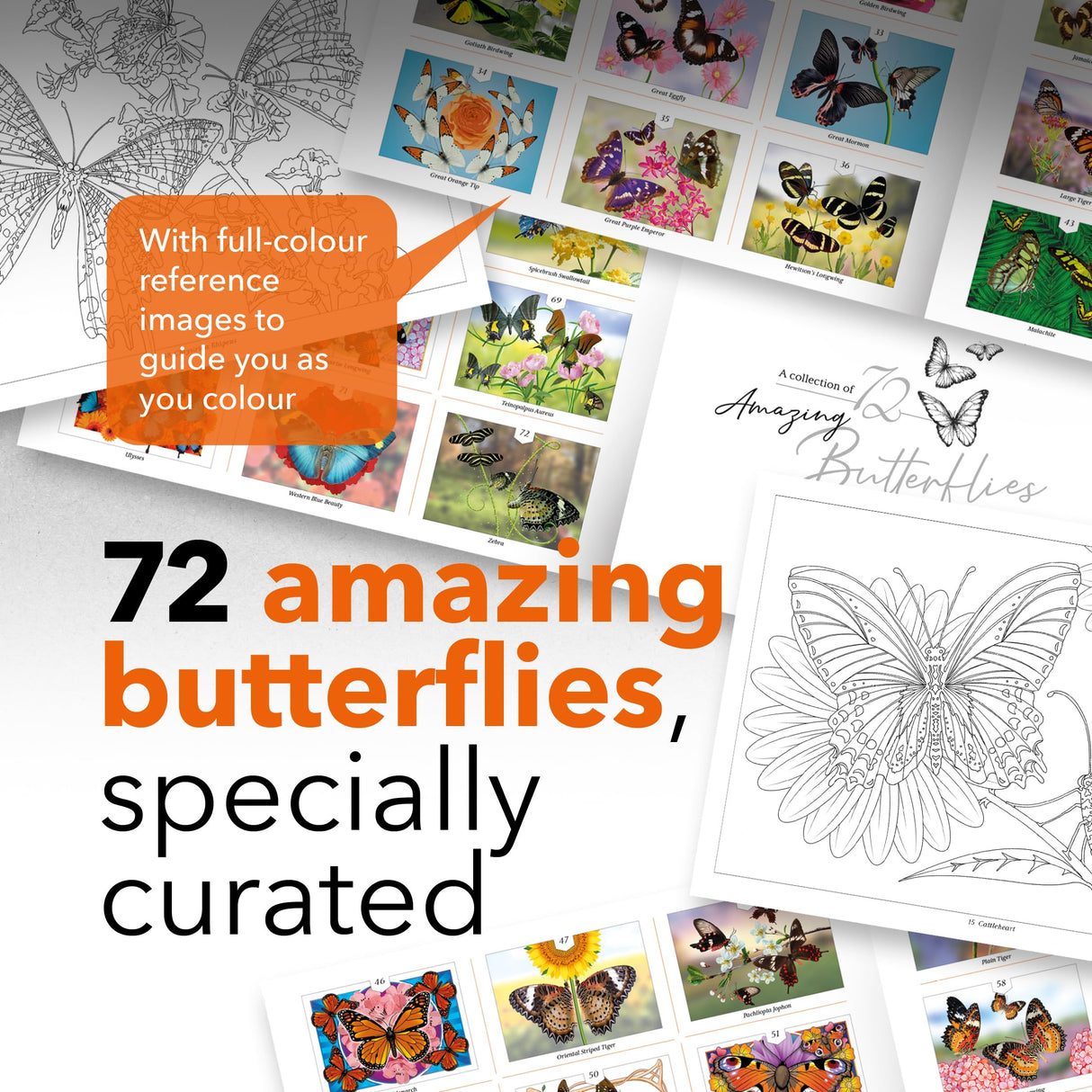 Castle Arts Butterflies Colouring Book | 72 Amazing Beauties Curated by in-House Artists with Colour Reference Guide | No Show-Through Artist Grade Paper | Collectable Landscape A4 Size (Butterflies) Castle Art Supplies