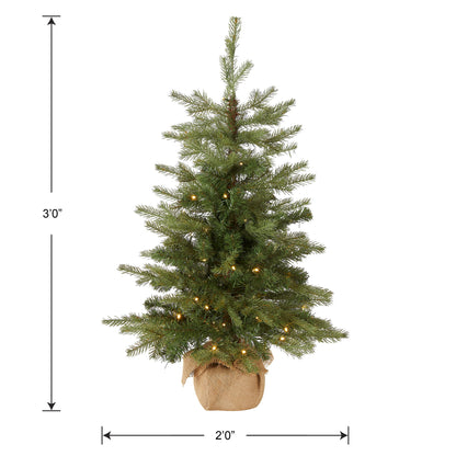 National Tree Company Pre-Lit 'Feel Real' Artificial Mini Christmas Tree, Green, Nordic Spruce, White Lights, Includes Burlap Bag Base, 3 Feet