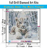 CHWGLFGG 5D Diamond Art Kits for Adults Beginners, White Tiger Diamond Painting Kits, DIY Winter Full Round Drill Paint by Diamonds Dot Gem Art for Adults, Home Wall Decor 13.7X 13.7 Inch CHWGLFGG