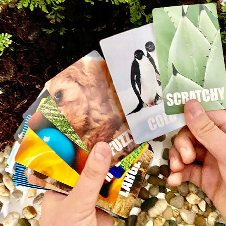 Hapinest Find and Seek Scavenger Hunt Card Game, Indoor Outdoor Activities for Kids Toddler & Family, Beach Camping Travel Car Games for Road Trips, Kids Scavenger Hunt Game Age 3 4 5 6 Years Old & Up Hapinest
