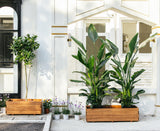 ScienGarden Wooden Raised Garden Bed Planter Box – Fir Wood Outdoor Vegetable, Herb & Flower Box with Drainage Holes – 47.24"x15.75"x12.6", Rot-Resistant, for Patio, Yard, Balcony ScienGarden