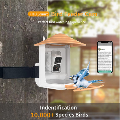 Smart Bird Feeder with Camera, AI Identify Bird, Solar Panel, 1080P HD Live Camera, Auto Capture Bird Video and APP, 2.4G WiFi Connection