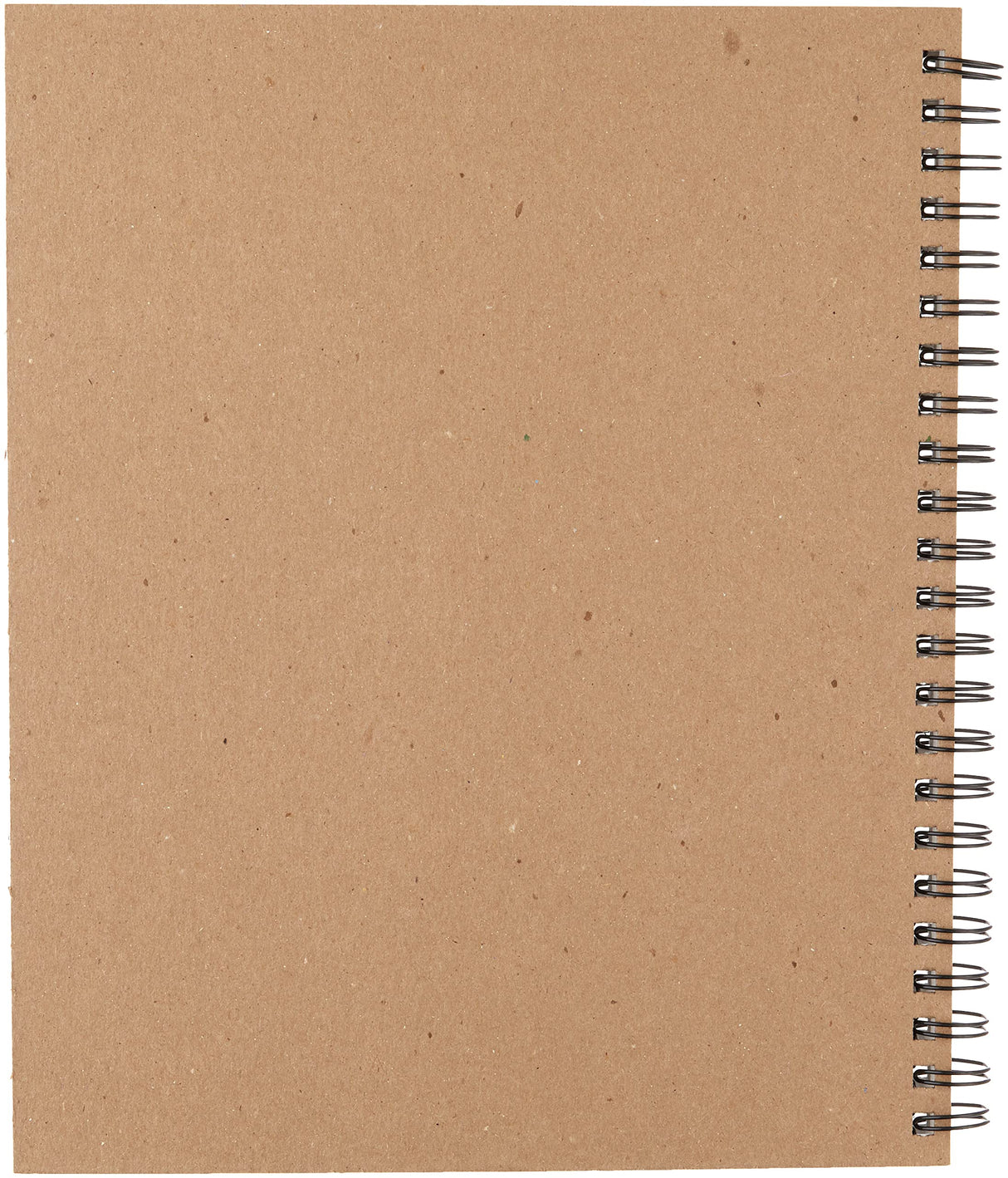 Canson Artist Series Mixed Media Paper, Wirebound Pad, 9x12 inches, 30 Sheets (138lb/224g) - Artist Paper for Adults and Students - Watercolor, Gouache, Graphite, Ink, Pencil, Marker Canson