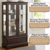 nifoti 47" H Lighted Curio Cabinet Display Case, Glass Cabinet with Adjustable Shelves,Tempered Glass Door and Drawer, Wooden Curio Cabinet with Mirrored Back Pane for Living Room (Dark Cherry) nifoti