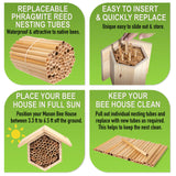 Rivajam Mason Bee House Wax Coated Nesting Bee Box | Refillable Phragmite Reed Mason Bee Tubes Filled Pollinator House | Mason Bee Houses for The Garden Rivajam