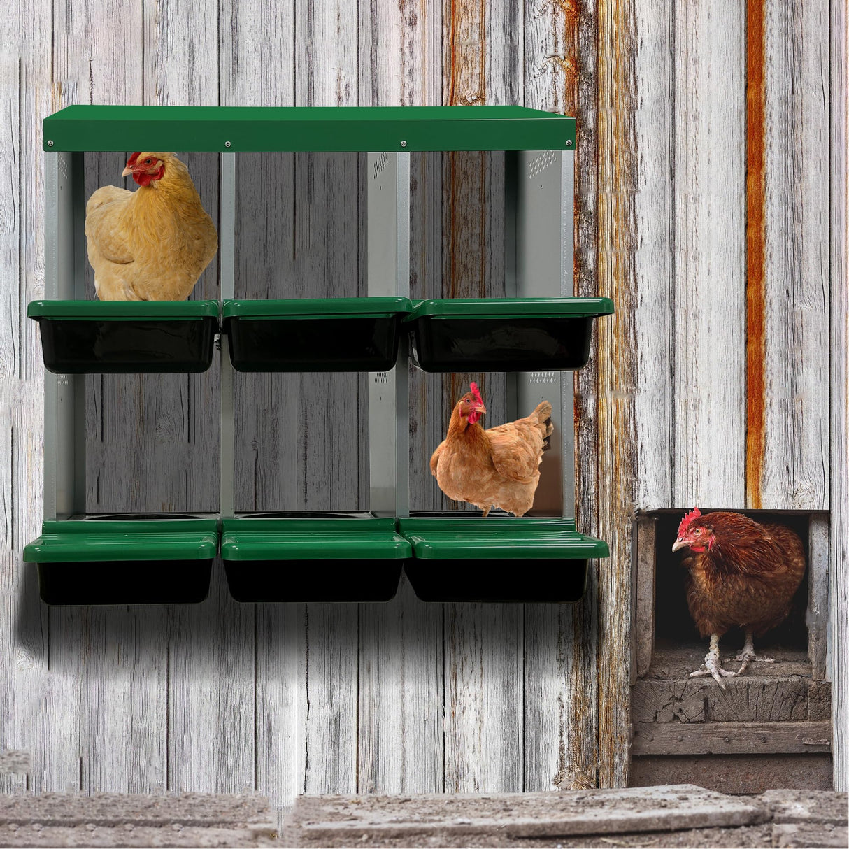 Eggluuz Chicken Nesting Box, 6 Compartments Chickens Egg Laying Nest Boxes for Hens Eggluuz
