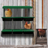 Eggluuz Chicken Nesting Box, 6 Compartments Chickens Egg Laying Nest Boxes for Hens Eggluuz