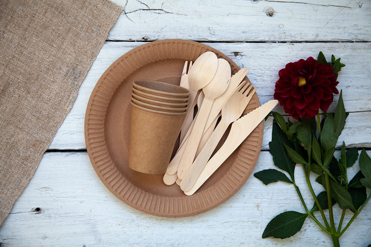 KingSeal Disposable Birch Wood Cutlery Spoons, Biodegradable and Earth Friendly, 6.25 Inch Length - 1 Pack of 100 pcs KingSeal