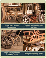 Wowood 3D Wooden Puzzles for Adults, 3D Puzzle Models for Adults to Build Wowood