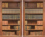 Factory4me Brown Curtains Bookshelf Library Themed Bookcase, Light Brown and Blue Curtains with Books Shelf Printed Literature Design Window Set of 2 84 Inch Panels for Living Room Bedroom Kitchen Factory4me