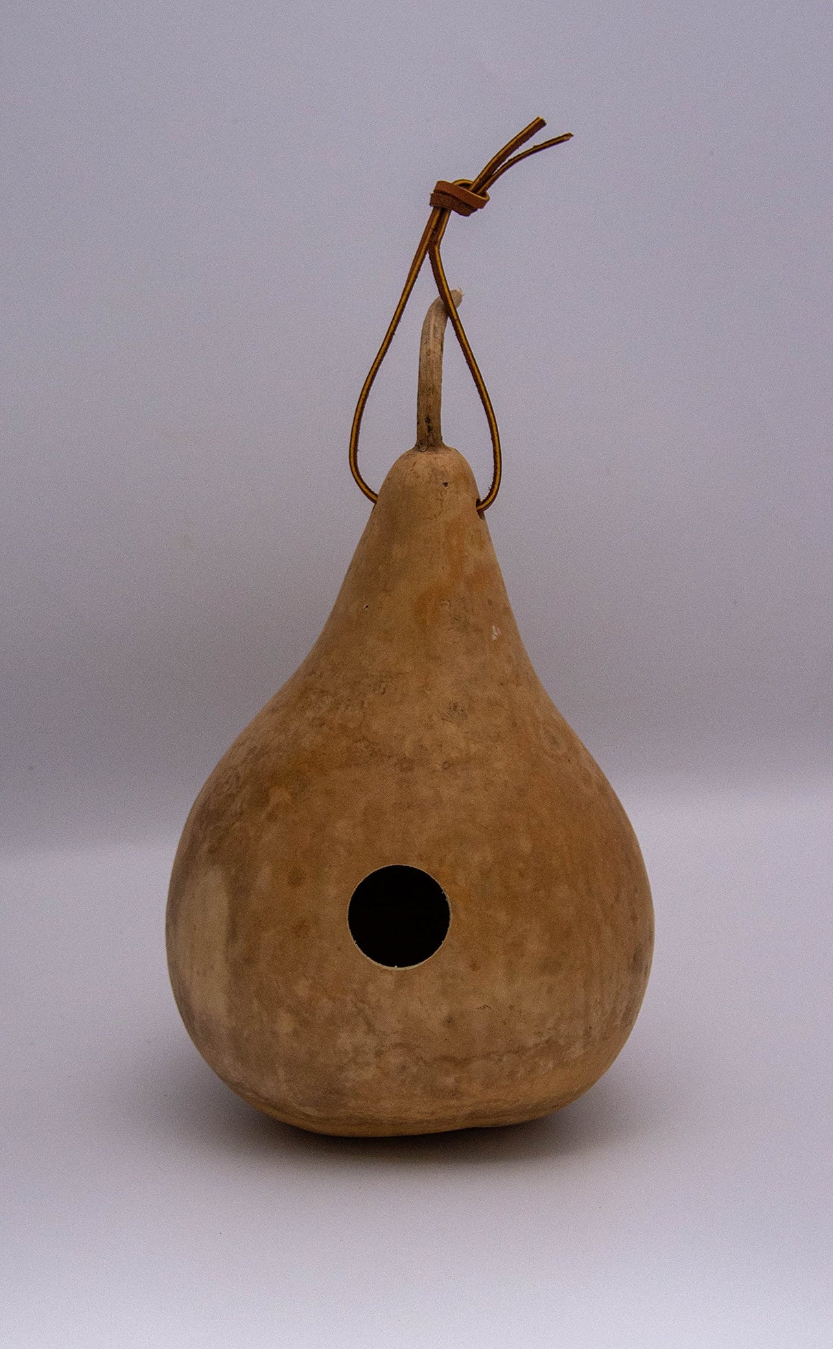 Gourd Birdhouse, Unfinished, Craft Ready, Box of 3 Gourdaments