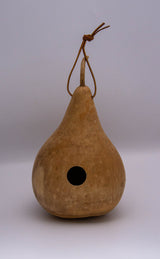 Gourd Birdhouse, Unfinished, Craft Ready, Box of 3 Gourdaments