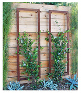 TERRA TRELLIS Ina Modern Wall Trellis for Outdoor Plants | Garden and Home Climbing Vines Wall Trellis | Modern, Steel & Durable | Large (Oxide) Terra Trellis