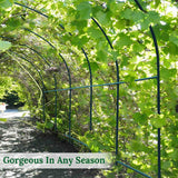 Multi-Size Large Garden Support Arch Frame Climbing Plant Arch Arbor for Flowers/Fruits/Vegetables (6.5ft x 7ft x 7.2ft) BenefitUSA