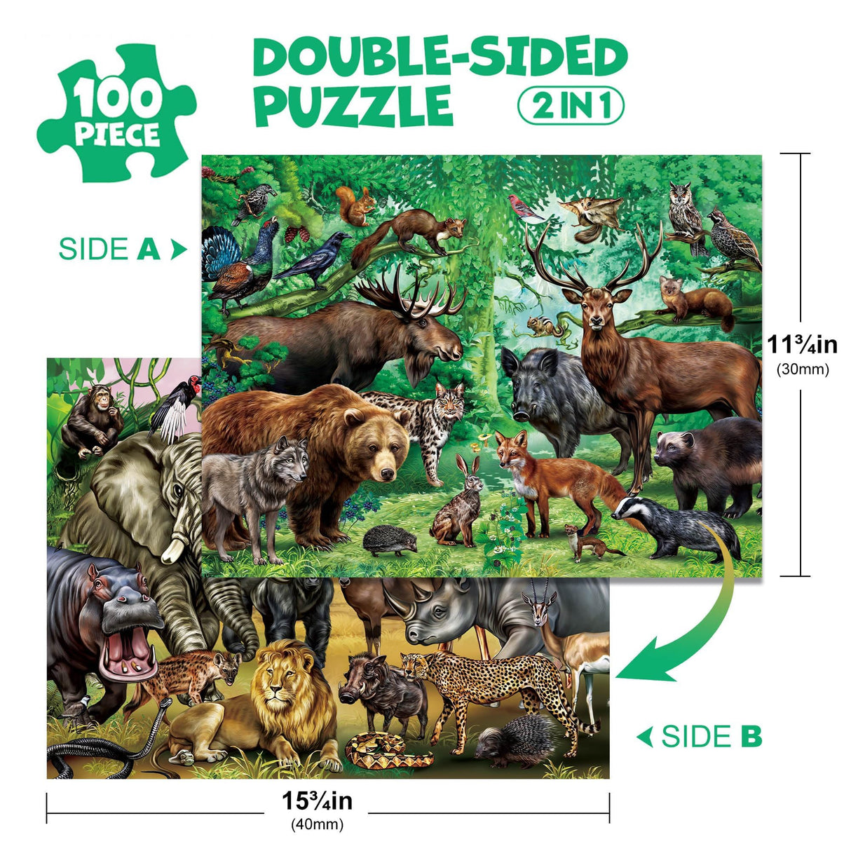BenBen Puzzles for Kids Ages 4-6, Double Sided 100 Piece Puzzles for Kids, Wild Animals, Learning Educational Jigsaw Puzzles Toys for Boys Girls (15.75” x 11.75”) BenBen