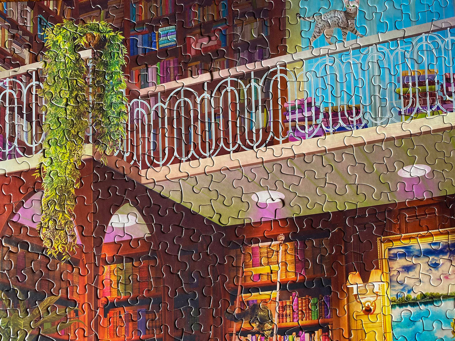 Springbok - The Library - 1000 Piece Jigsaw Puzzle- Challenge Yourself with This Colorful Image for booklovers