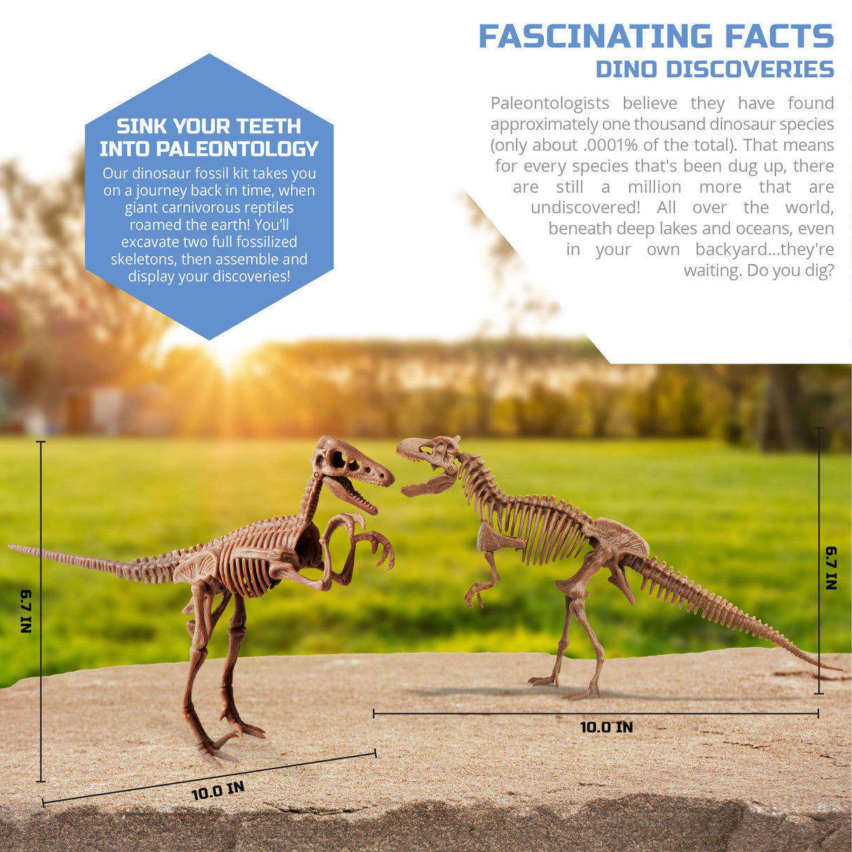 Discovery™ Dinosaur Fossil Dig Excavation Kit, 15-Piece T-Rex & 10-Piece Velociraptor, 3D Skeleton Puzzle Display Models, Includes Tools & Safety Glasses, Jurassic Dino Toy for Kids Discovery Kids