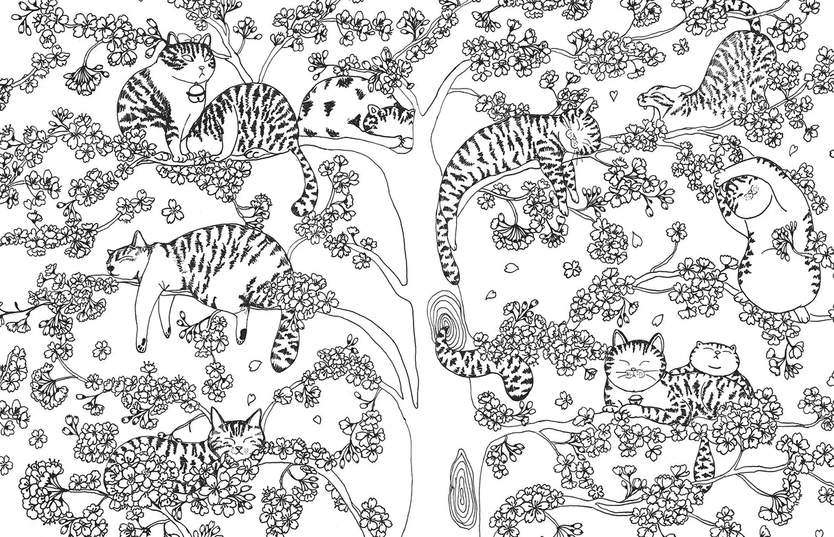 A Million Cats: Fabulous Felines to Color (Volume 1) (A Million Creatures to Color) Union Square & Co.