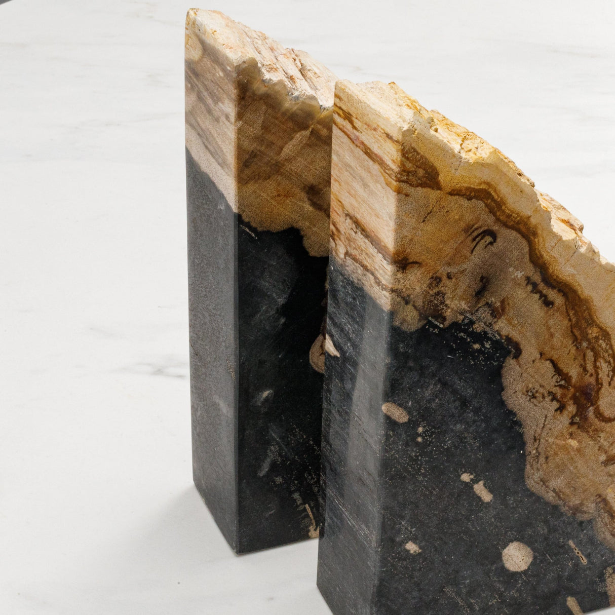 KALIFANO Petrified Wood Bookends Set - Real Natural Fossilized Wood Book End - Unique Stone & Crystal Home Decor (Family Owned & Operated) KALIFANO