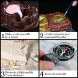 Wonders of The Earth WILD ENVIRONMENTAL SCIENCE