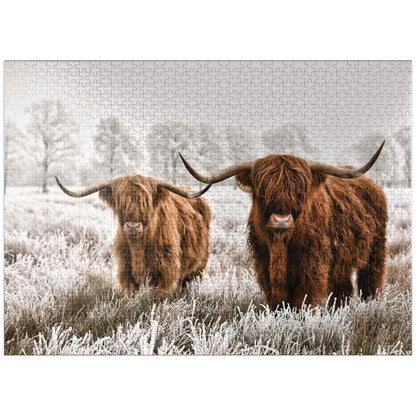 MyPuzzle Hairy Scottish Highland Cattle in A Winter Landscape - Premium 1000 Piece Jigsaw Puzzle for Adults