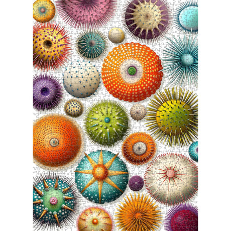 PICKFORU Colorful Sea Urchin Puzzles for Adults 1000 Pieces, Ocean Beach Puzzle, Challenging Puzzles for Adults, Nature Hard Jigsaw Puzzles PICKFORU