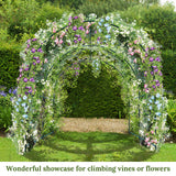 Multi-Size Large Garden Support Arch Frame Climbing Plant Arch Arbor for Flowers/Fruits/Vegetables (6.5ft x 7ft x 7.2ft) BenefitUSA