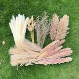 100Pcs Pampas Grass Boho Home Decor 17 inch Natural Dried Flowers-Pampas Grass Contains Bunny Tails White Pampas Brown Pampas.Boho Decor for Farmhouse Wedding Boho Wall Bathroom Office Kitchen… CZCTLUL