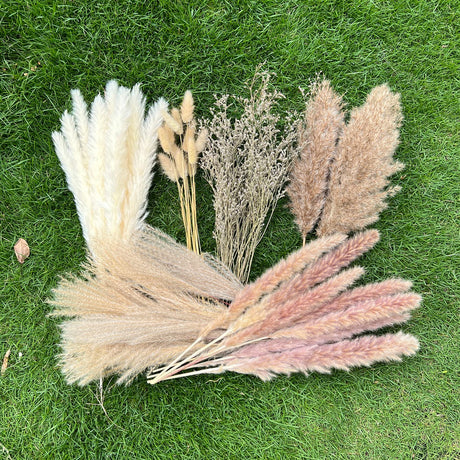 100Pcs Pampas Grass Boho Home Decor 17 inch Natural Dried Flowers-Pampas Grass Contains Bunny Tails White Pampas Brown Pampas.Boho Decor for Farmhouse Wedding Boho Wall Bathroom Office Kitchen… CZCTLUL