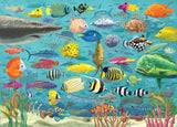 PETER PAUPER PRESS All The Fish 1000 Piece Jigsaw Puzzle PETER PAUPER PRESS