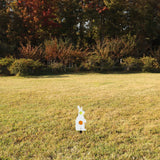 Highwild Metal Rabbit Resetting Target Neon Plates - Two Methods of Use - Rated for .22/.177 Air Guns Highwild