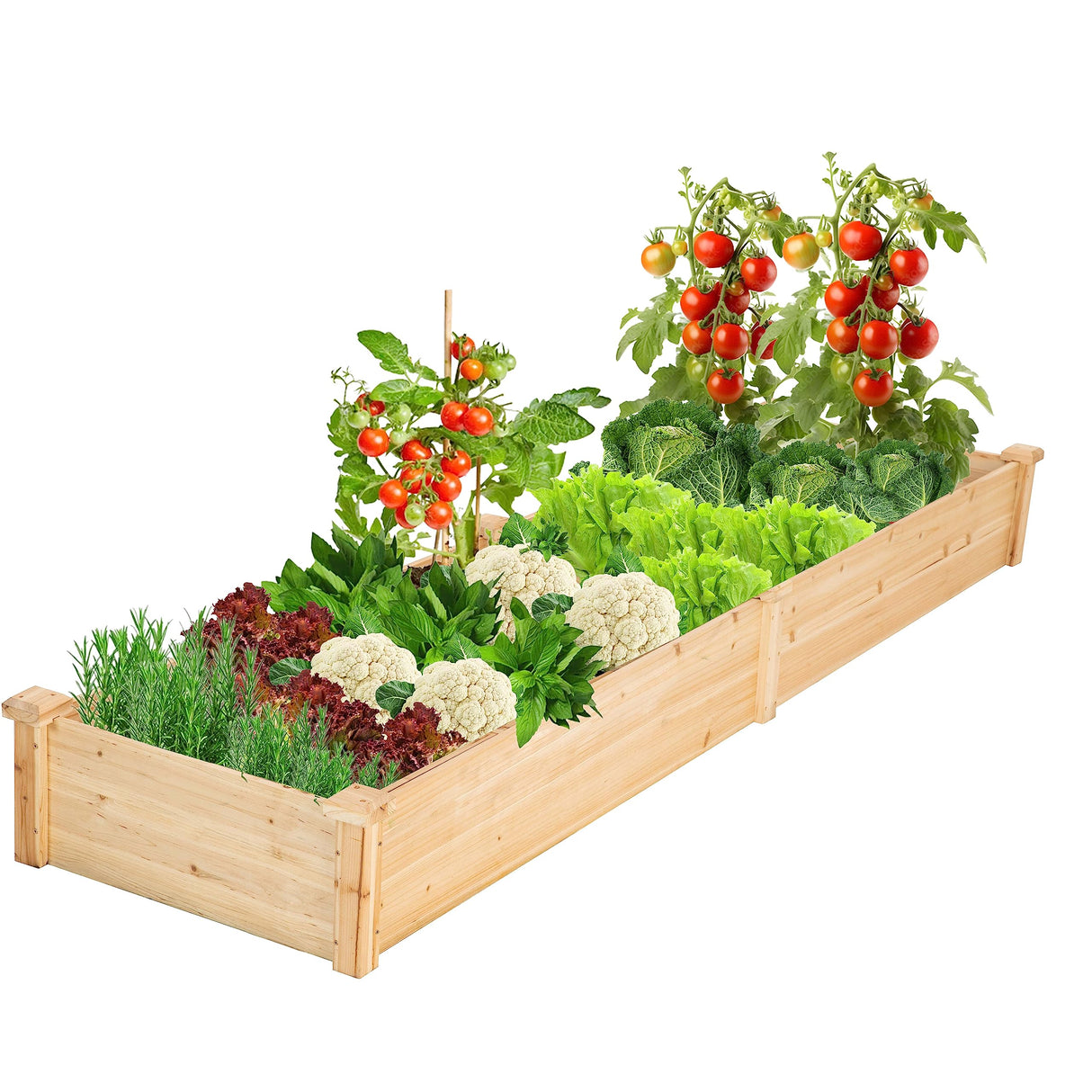 Idzo Raised Garden Bed, Durable Garden Box with Wax Oil Coated, 96 Inches Wood Planter with Non-Woven Lining Prevents Soil Moist, One Divider Box Make Organizing Your Plant Crops Easier IDZO